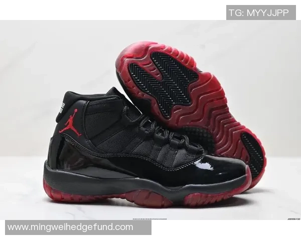 aj11篮球鞋的魅力与性能解析你了解多少